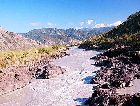 Arten af ​​Altai-territoriet - hundrede muligheder for rekreation