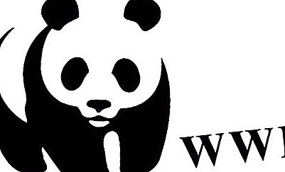 Maailmanlaajuinen luonnonrahasto (WWF)