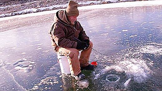 Pêche d'hiver sur la Volga: caractéristiques, recommandations et faits intéressants