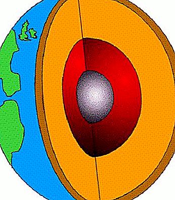 What is the lithosphere?