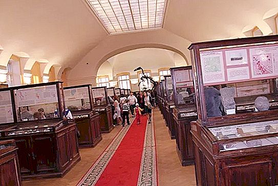 Esposizioni del Museo geologico di San Pietroburgo