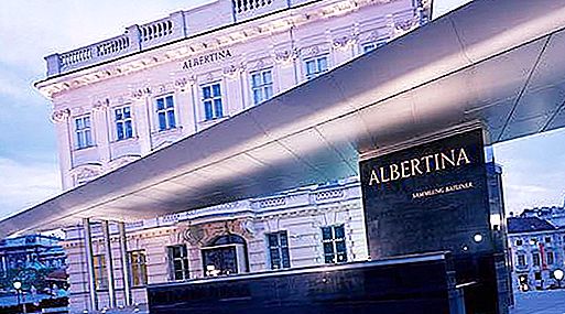 Galleria d'arte "Albertina" a Vienna