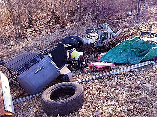 Śmieci w lesie: szkoda, metody rozwiązania problemu i konsekwencje