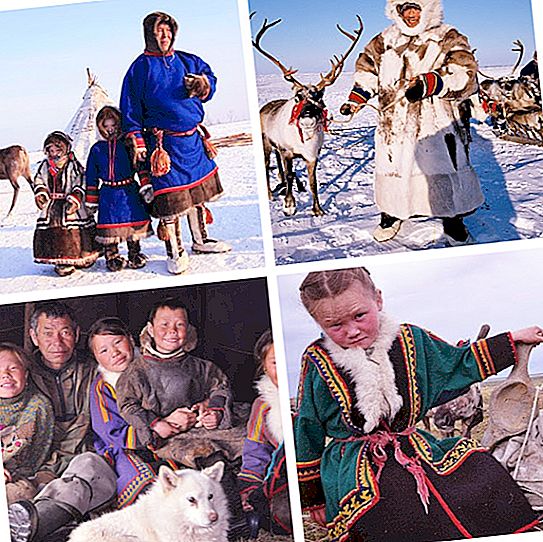 Nenets insanları: tanım, açıklama, ana faaliyet, kıyafetler, fotoğraflar, tarihi gelenekler ve zengin kültür