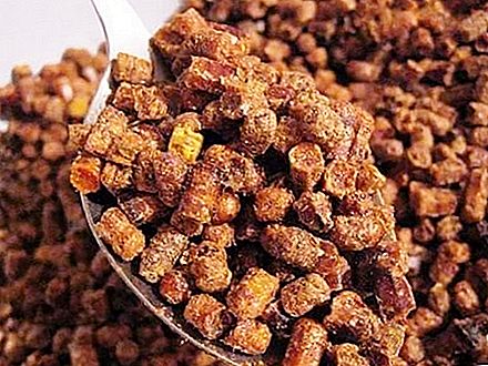 Bišu cūkgaļa: sastāvs, vitamīni, barības vielas, kontrindikācijas, ārstnieciskās īpašības un lietošanas noteikumi