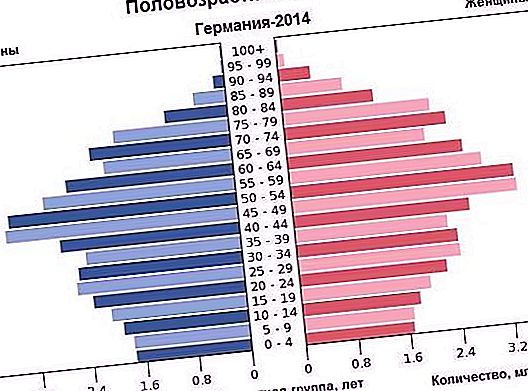 هرم العمر والجنس: الأنواع والأنواع والمجموعات. تحليل هرم العمر والجنس في روسيا