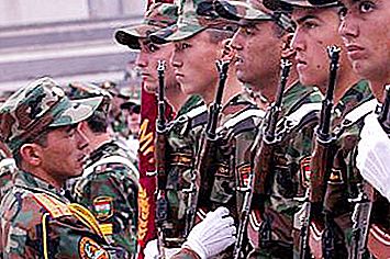 Exército Tajique: vida útil, idade mínima, força