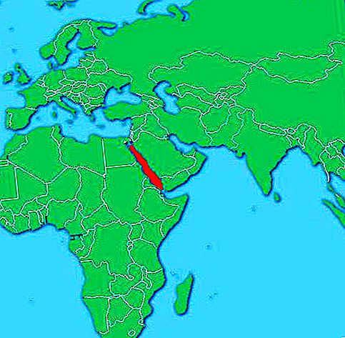 Profunditat del mar Roig, món submarí, països, coordenades. Per què es diu Mar Roig