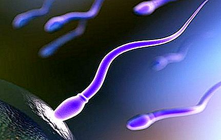 How to pass sperm? General information