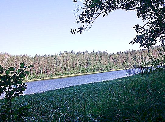 Кое е най-дълбокото езеро в Беларус? Кратко описание