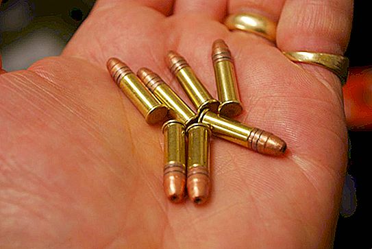 Cartridges "small things": description, specifications, sizes and photos