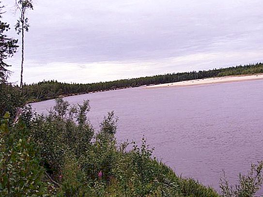 Pur River: description et photo