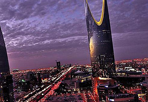 沙特阿拉伯：信息，信息，一般描述。 沙特阿拉伯：一种政府形式