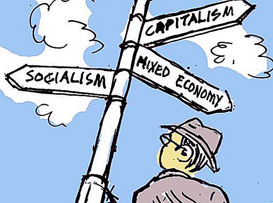 さまざまな経済システムの機能の特徴は何ですか：社会的側面