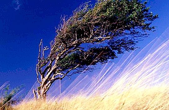 Vântul: ce este, cauzele și consecințele