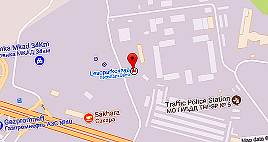 Lesoparkovaya metrostation: funktioner