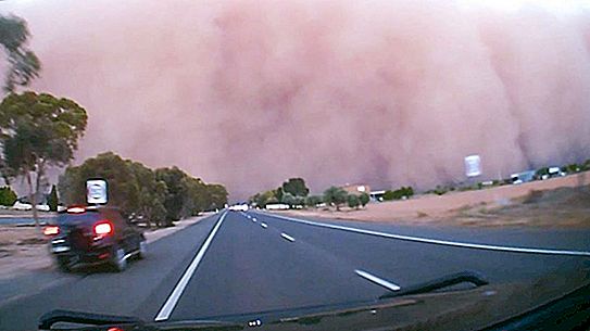 A merced de los elementos: un hombre compartió un video del epicentro de la tormenta de polvo.