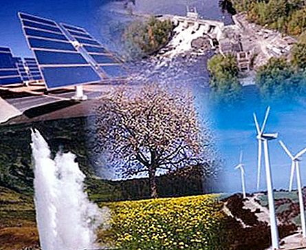 Erneuerbare Energiequellen. Bedeutung der Verwendung