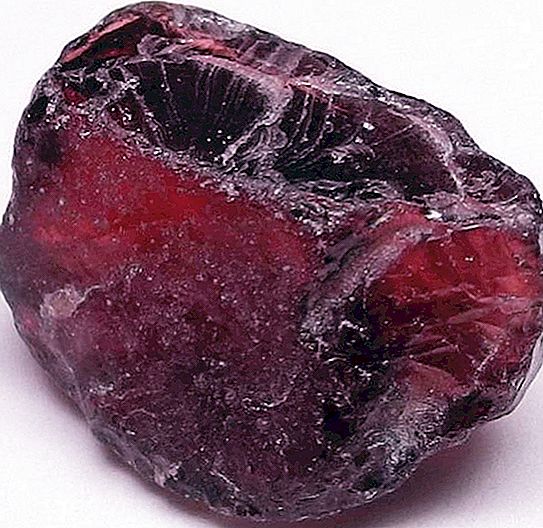 Carbuncle (kivi) - eräänlainen granaattiomena