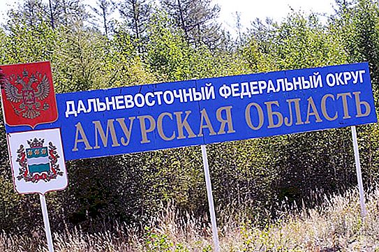 Ο πληθυσμός της περιοχής Amur: μέγεθος, εθνική και θρησκευτική σύνθεση