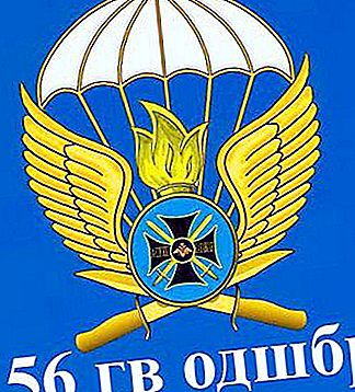 56 DShB - külön őr légi támadó brigád: leírás, összetétel és érdekes tények