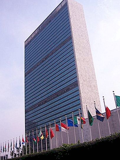 Kaj je ZN: zgodovina in funkcije organizacije