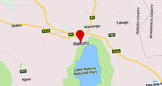 Nacionalni park "Jezero Nakuru": lokacija, opis, fotografija