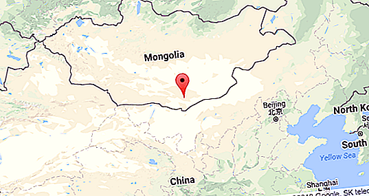 Gurun di Mongolia. Gurun Gobi - tumbuhan, haiwan, fakta menarik
