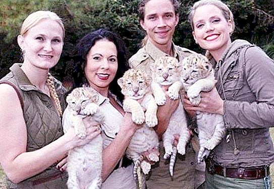 Den hvite løven ble forelsket i en hvit tigress. Hvordan ser babyer fra “blandet ekteskap” ut (bilde)