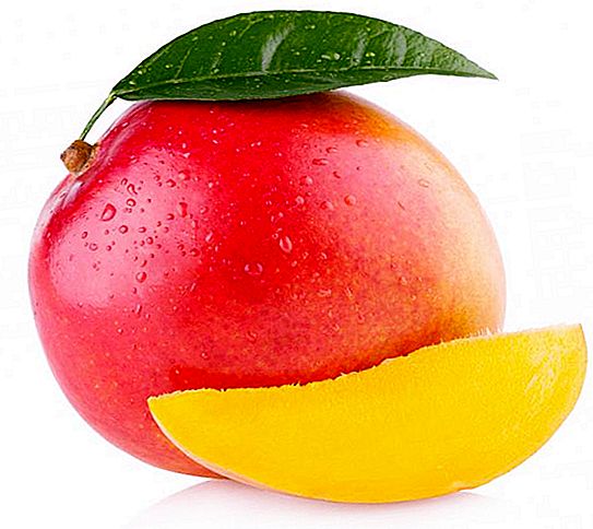 Vilken frukt är gul? Gul frukt med ett frö. Exotiska gula frukter