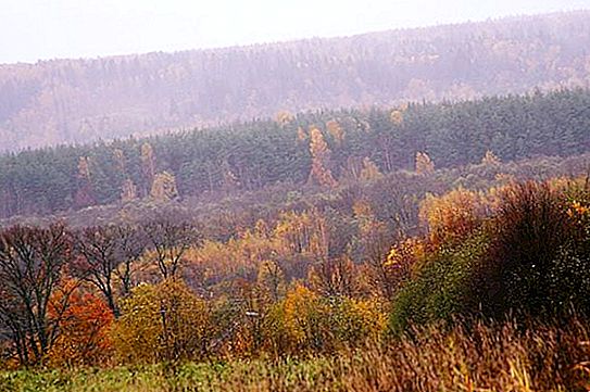 Parcul Național Valdai: Descriere