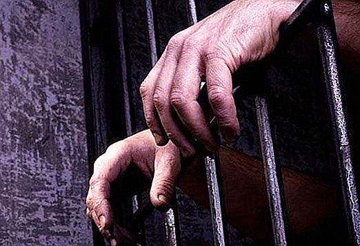 Carine na "coni", ali zakaj v zaporu ne morete spuščati mila