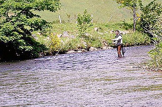 Fishing in Volgodonsk and its surroundings: features and interesting facts