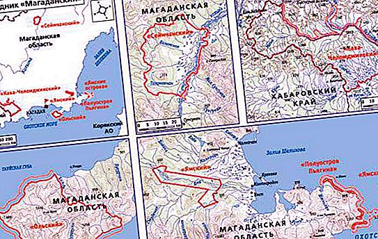Rizab "Magadan": flora dan fauna