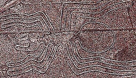 What is a geoglyph? The most mysterious geoglyphs
