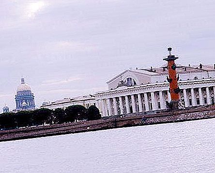 Usnjena črta na otoku Vasilyevsky