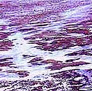 Olağandışı doğal fenomen - Permafrost