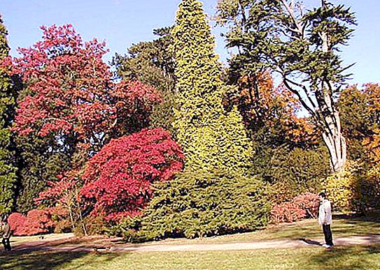 Arboretum es un rincón único de la naturaleza.