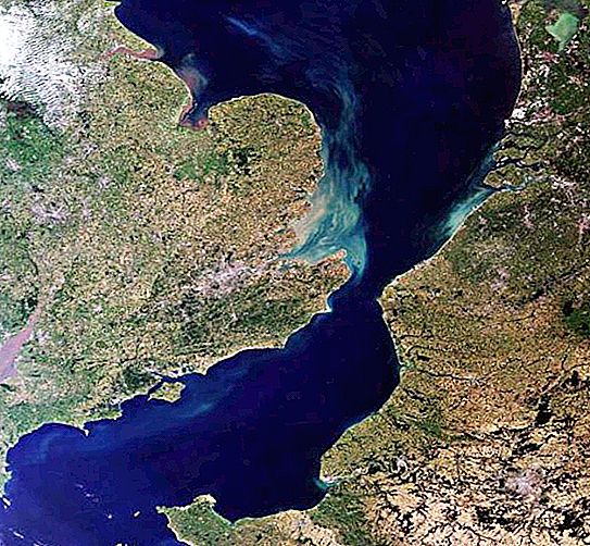 Pas de Calais (Boğazı) İngiliz Kanalı'nın en dar kısmıdır. Pas de Calais Boğazı nerede
