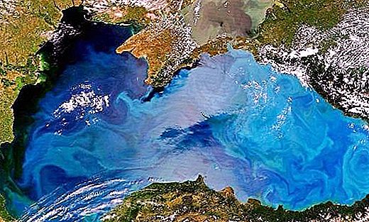Zamrzne Černé moře v zimě: klimatické vlastnosti nádrže