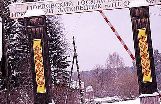 Where is the Mordovian Reserve? Mordovian State Nature Reserve. P. G. Smidovich: history, description, photo