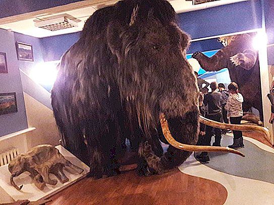 Ice Age Museum - Überblick, Features, Ausstellungen und interessante Fakten