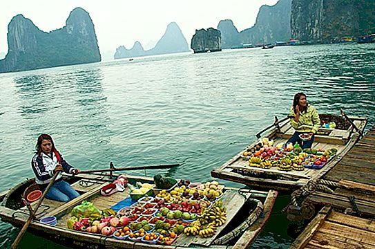 Fatos interessantes sobre o Vietnã. Donges vietnamitas. Chapéu vietnamita. Bebidas alcoólicas vietnamitas estranhas