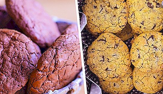 키예프 케이크는 과자 장수의 실수로 나타 났으며 초콜릿 칩 쿠키는 실험의 결과였습니다. 우연히 등장한 인기있는 것들