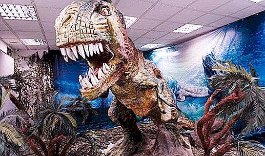 Dinosaur Museum in St. Petersburg. Dealing with lost giants