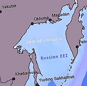 Mar de Okhotsk: problemas y soluciones ambientales