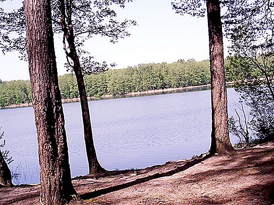 Počitnice na beloruskem jezeru Losvido