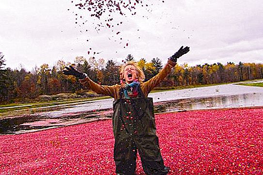 Spreading cranberries: the meaning and origin of phraseology