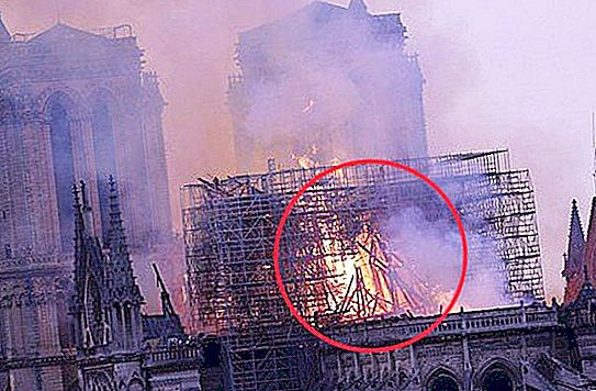Virkelighed eller optisk illusion: Under branden i Paris dukkede Herren Gud op (foto)