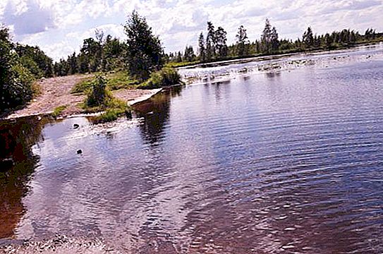 Voloyarviはレニングラード地域の湖です。 説明、釣り、写真
